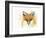 Fox Fire-Michelle Faber-Framed Giclee Print