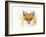 Fox Fire-Michelle Faber-Framed Giclee Print