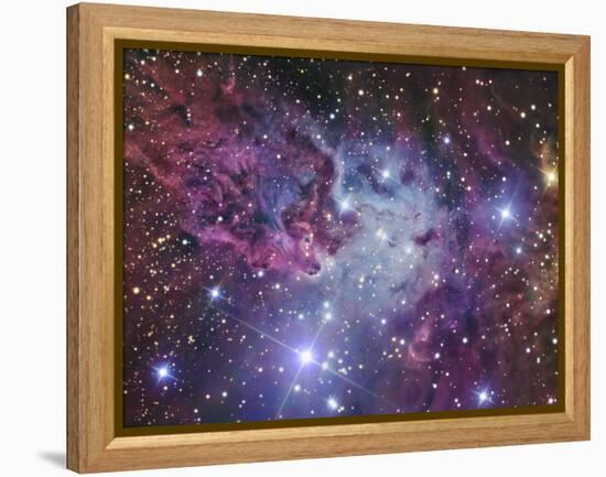 Fox Fur Nebula-Stocktrek Images-Framed Premier Image Canvas