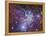 Fox Fur Nebula-Stocktrek Images-Framed Premier Image Canvas