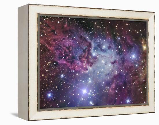 Fox Fur Nebula-Stocktrek Images-Framed Premier Image Canvas