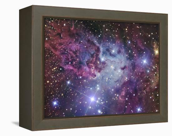 Fox Fur Nebula-Stocktrek Images-Framed Premier Image Canvas