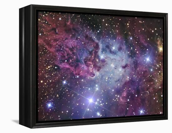 Fox Fur Nebula-Stocktrek Images-Framed Premier Image Canvas