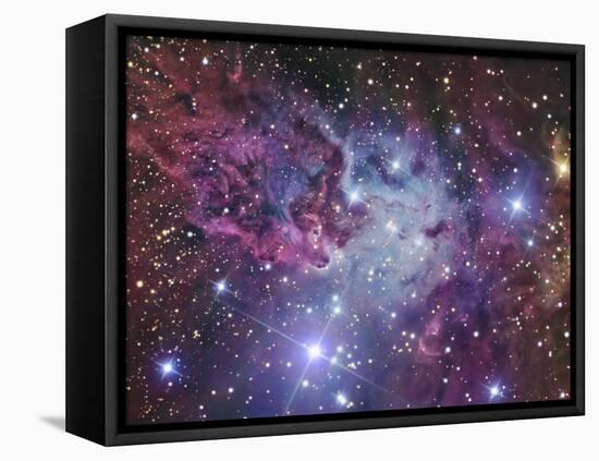 Fox Fur Nebula-Stocktrek Images-Framed Premier Image Canvas