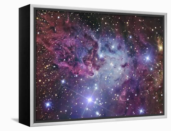 Fox Fur Nebula-Stocktrek Images-Framed Premier Image Canvas