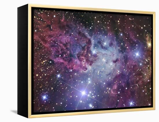 Fox Fur Nebula-Stocktrek Images-Framed Premier Image Canvas