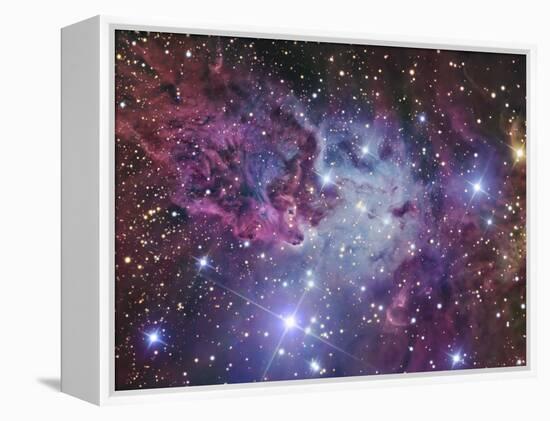 Fox Fur Nebula-Stocktrek Images-Framed Premier Image Canvas