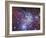 Fox Fur Nebula-Stocktrek Images-Framed Photographic Print