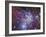 Fox Fur Nebula-Stocktrek Images-Framed Photographic Print