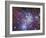 Fox Fur Nebula-Stocktrek Images-Framed Photographic Print