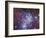 Fox Fur Nebula-Stocktrek Images-Framed Photographic Print