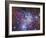 Fox Fur Nebula-Stocktrek Images-Framed Photographic Print