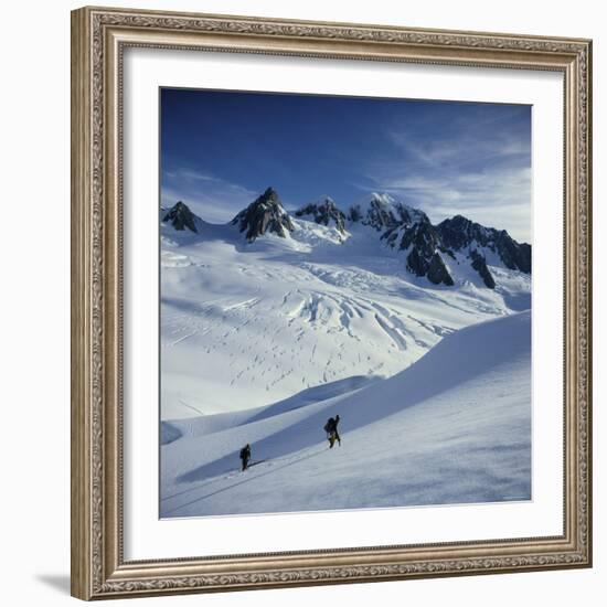 Fox Glacier and Mt. Tasman South Westland, New Zealand-null-Framed Photographic Print