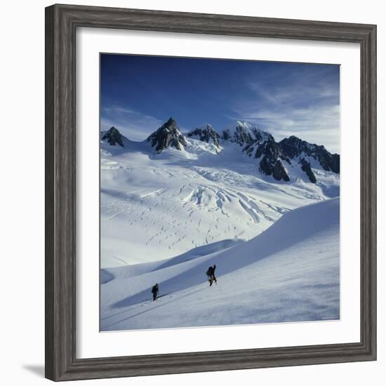 Fox Glacier and Mt. Tasman South Westland, New Zealand-null-Framed Photographic Print