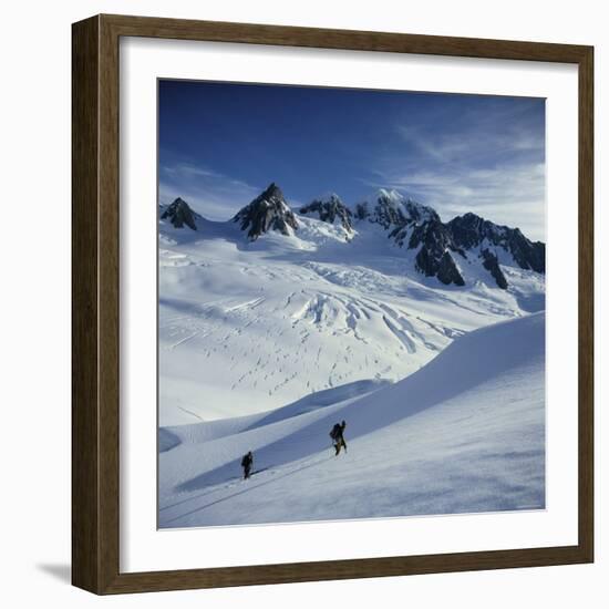 Fox Glacier and Mt. Tasman South Westland, New Zealand-null-Framed Photographic Print