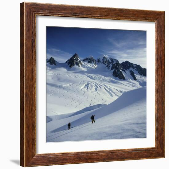 Fox Glacier and Mt. Tasman South Westland, New Zealand-null-Framed Photographic Print