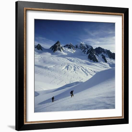 Fox Glacier and Mt. Tasman South Westland, New Zealand-null-Framed Photographic Print