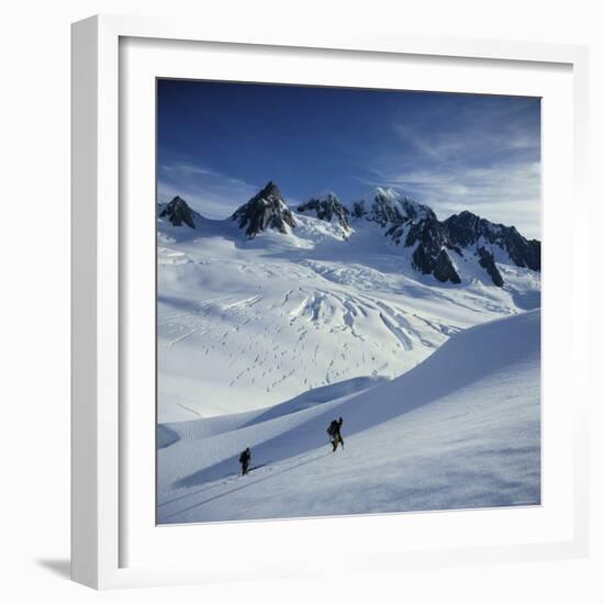 Fox Glacier and Mt. Tasman South Westland, New Zealand-null-Framed Photographic Print