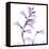 Fox glove-Albert Koetsier-Framed Stretched Canvas