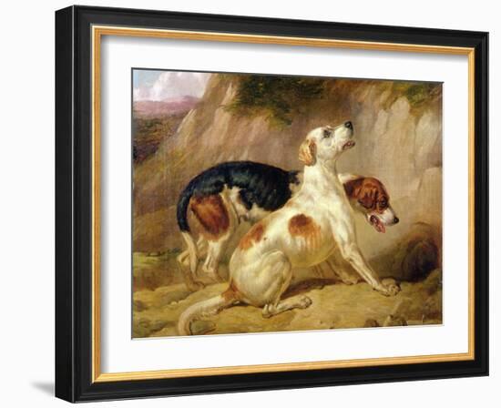 Fox Hounds, Fox Gone To Earth, 1844-Thomas Woodward-Framed Giclee Print