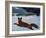 Fox Hunt, 1893-Winslow Homer-Framed Art Print