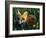 Fox in Alaska Spring Flowers-Charles Glover-Framed Giclee Print