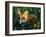 Fox in Alaska Spring Flowers-Charles Glover-Framed Giclee Print