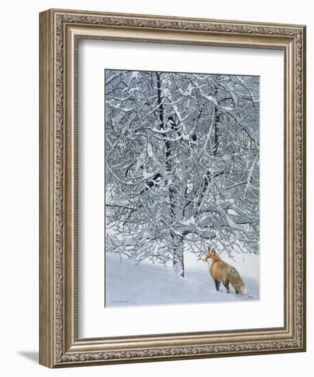 Fox in Snow-Harro Maass-Framed Premium Giclee Print