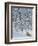 Fox in Snow-Harro Maass-Framed Premium Giclee Print