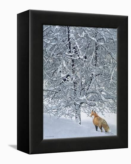 Fox in Snow-Harro Maass-Framed Premier Image Canvas