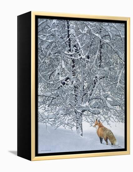 Fox in Snow-Harro Maass-Framed Premier Image Canvas