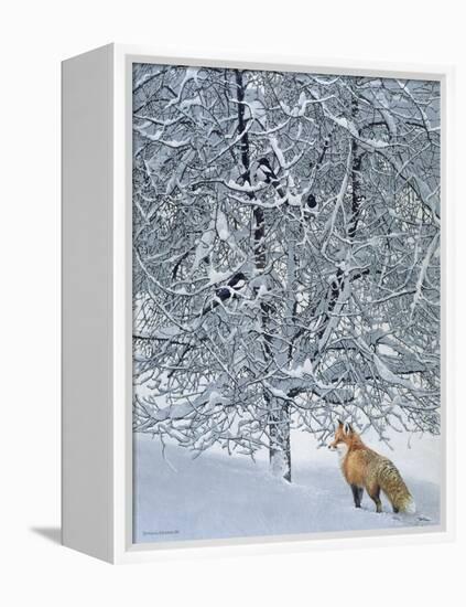 Fox in Snow-Harro Maass-Framed Premier Image Canvas