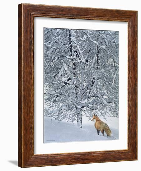 Fox in Snow-Harro Maass-Framed Giclee Print