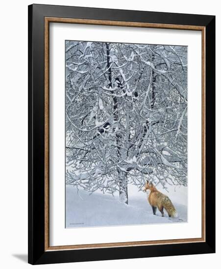 Fox in Snow-Harro Maass-Framed Giclee Print