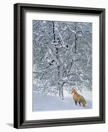 Fox in Snow-Harro Maass-Framed Giclee Print