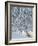 Fox in Snow-Harro Maass-Framed Giclee Print