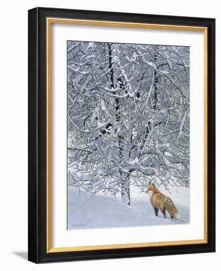 Fox in Snow-Harro Maass-Framed Giclee Print