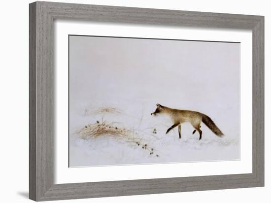 Fox in Snow-Jane Neville-Framed Giclee Print