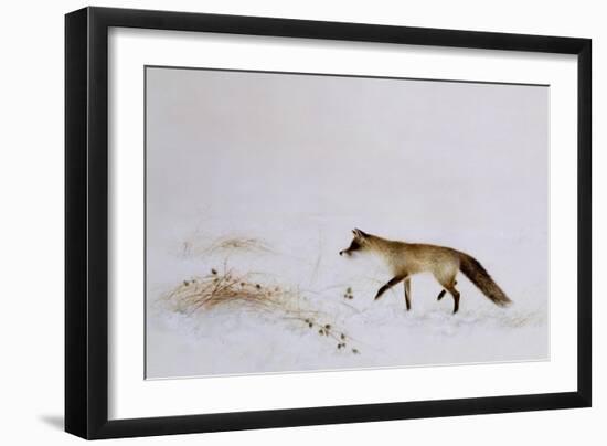 Fox in Snow-Jane Neville-Framed Giclee Print