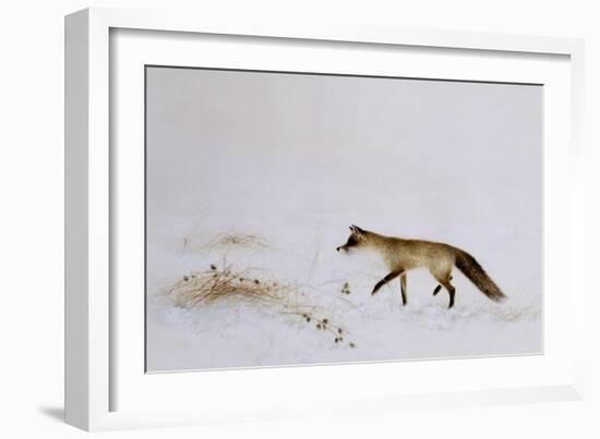 Fox in Snow-Jane Neville-Framed Giclee Print