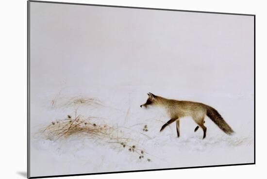 Fox in Snow-Jane Neville-Mounted Giclee Print