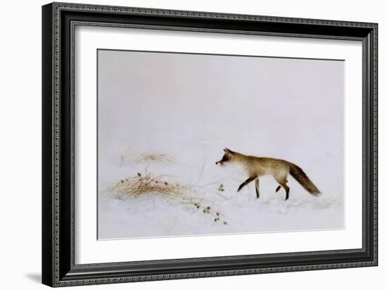 Fox in Snow-Jane Neville-Framed Giclee Print