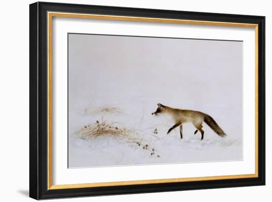 Fox in Snow-Jane Neville-Framed Giclee Print