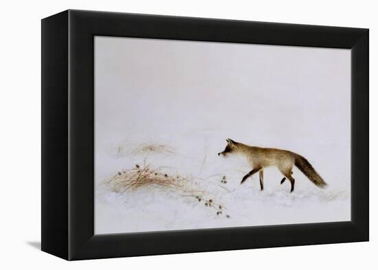 Fox in Snow-Jane Neville-Framed Premier Image Canvas