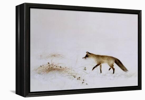 Fox in Snow-Jane Neville-Framed Premier Image Canvas