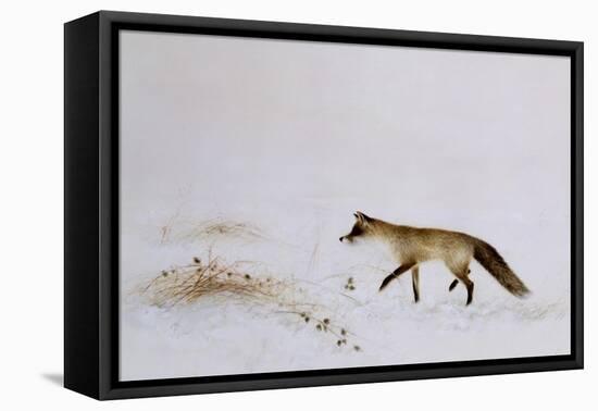 Fox in Snow-Jane Neville-Framed Premier Image Canvas