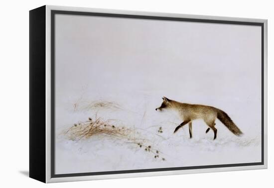 Fox in Snow-Jane Neville-Framed Premier Image Canvas