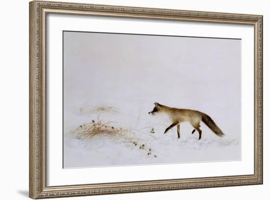 Fox in Snow-Jane Neville-Framed Giclee Print