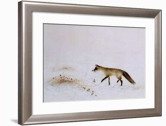 Fox in Snow-Jane Neville-Framed Giclee Print