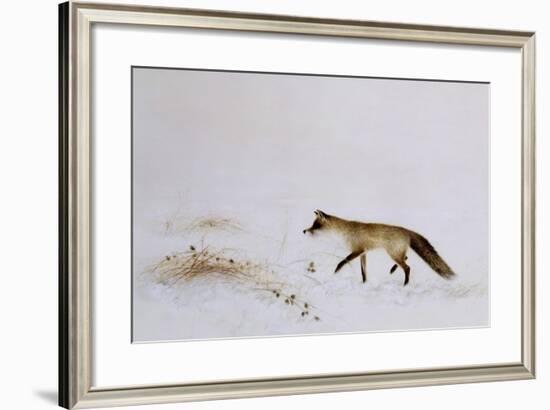 Fox in Snow-Jane Neville-Framed Giclee Print